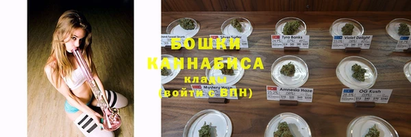 мескалин Новодвинск