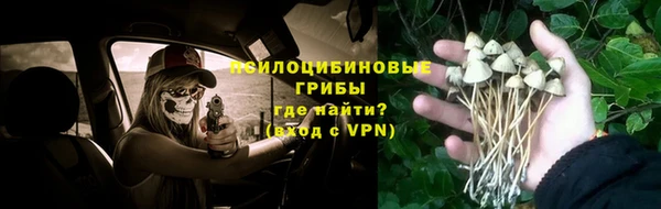 бошки Новокубанск