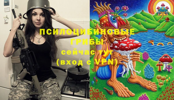 каннабис Новозыбков