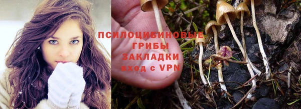 каннабис Новозыбков