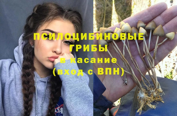 каннабис Новозыбков