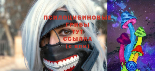 мескалин Новодвинск