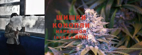каннабис Новозыбков